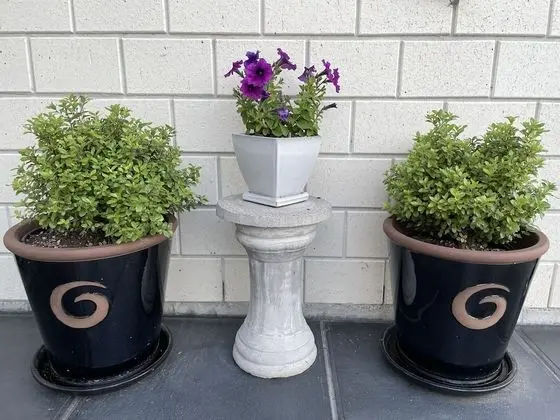 Deluxe Süit, 2 Yatak Odası