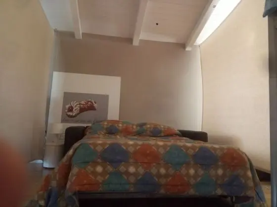 Tek Büyük veya İki Ayrı Yataklı Oda, Göl Manzaralı