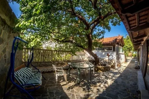 Çatı Katı (Loft)