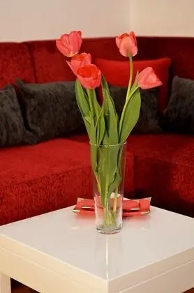 Panoramic Apart Daire, 2 Yatak Odası, Göl Manzaralı