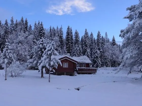 2. Langnesset, 2 Bedrooms, Mountain View, Garden Area