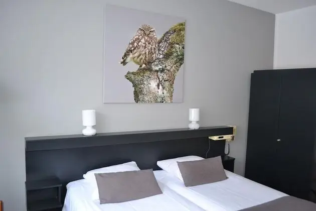 Premium Tek Büyük Yataklı Oda