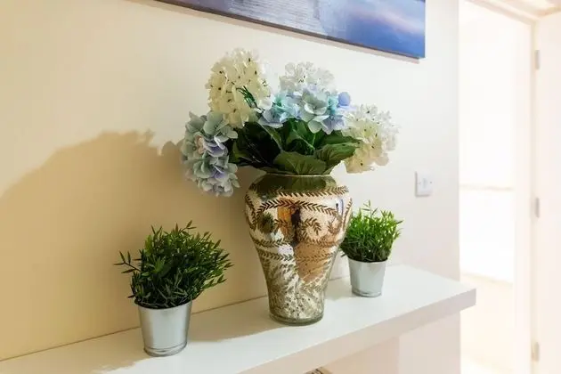 Deluxe Apart Daire, Özel Banyo, Şehir Manzaralı
