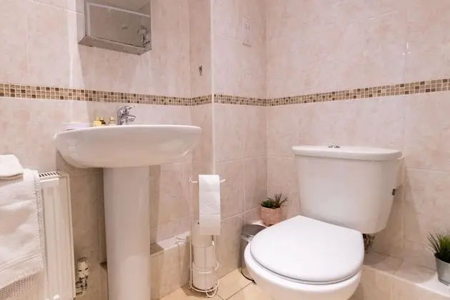Executive Apart Daire, Özel Banyo, Şehir Manzaralı