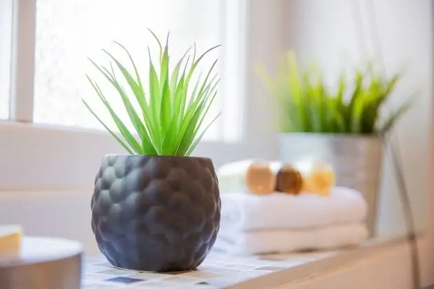 Apart Daire, Özel Banyo, Şehir Manzaralı