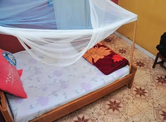 Standard Tek Büyük Yataklı Oda, 1 Çift Kişilik Yatak