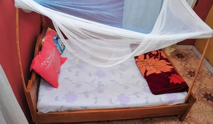 Standard Tek Büyük Yataklı Oda, 1 Çift Kişilik Yatak