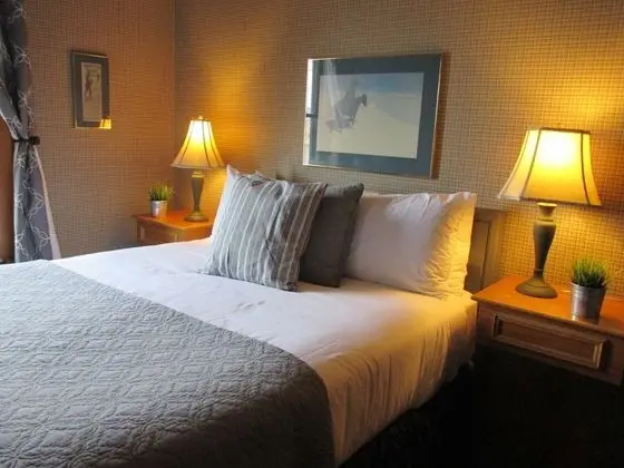 Basic Oda, 1 Büyük (Queen) Boy Yatak