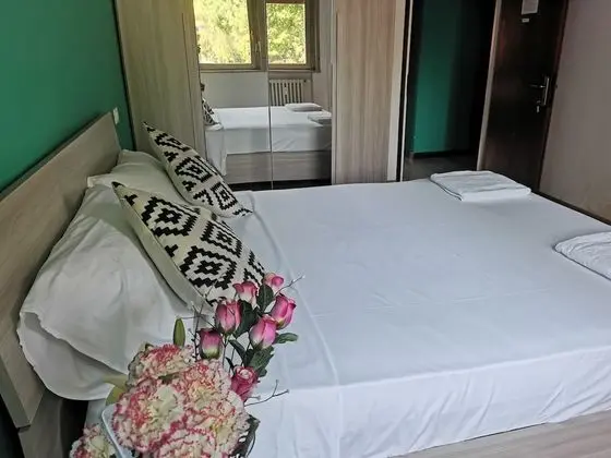 Comfort Oda, 1 Çift Kişilik Yatak, Ortak Banyo, Park Manzaralı