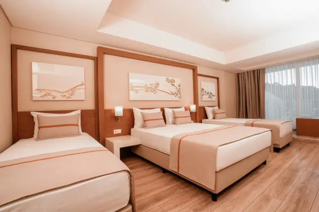 https://images.etstur.com/imgproxy/resize/2560x1440/files/images/hotelImages/etsrooms/679/Venosa_Beach_Resort___Spa_20250221155253_3.jpeg