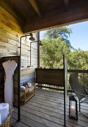 Süit (Big Sur Forest Shower)