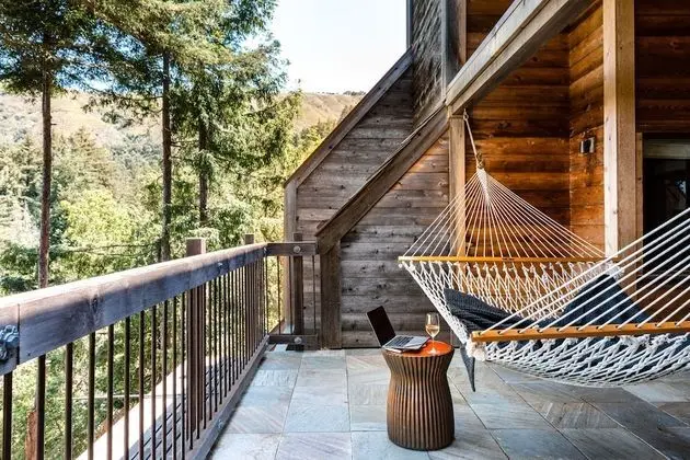Süit (Big Sur Forest Shower)