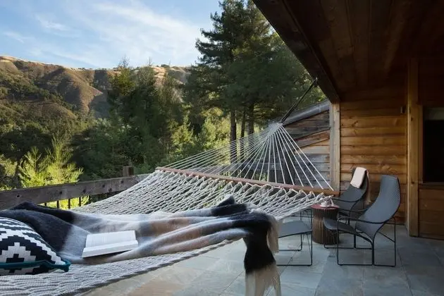 Süit (Big Sur Forest Shower)