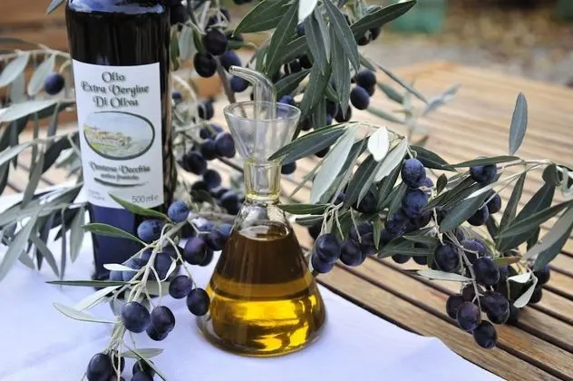 Luxury Apart Daire, 1 Yatak Odası, Teras, Havuz Manzaralı (Olivaio)