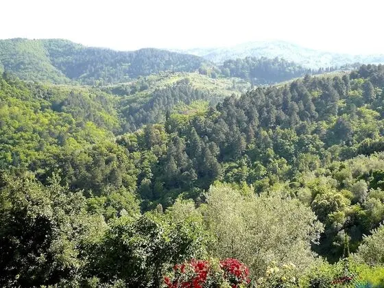 Premium Apart Daire, Dağ Manzaralı (Ortensia)