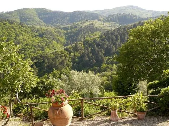 Premium Apart Daire, Dağ Manzaralı (Ortensia)