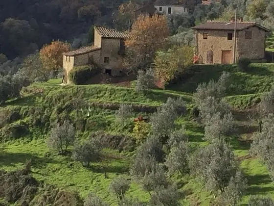 Premium Apart Daire, Dağ Manzaralı (Ortensia)