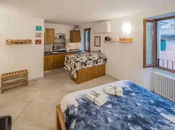 Deluxe Stüdyo, 1 Büyük (Queen) Boy Yatak, Küçük Mutfak (1)