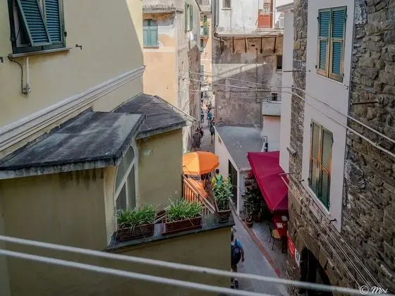 Deluxe Stüdyo, 1 Büyük (Queen) Boy Yatak, Küçük Mutfak (1)