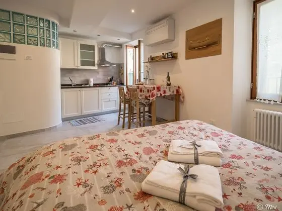 Deluxe Stüdyo, 1 Büyük (Queen) Boy Yatak, Küçük Mutfak (2)