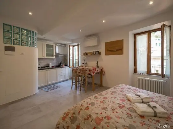 Deluxe Stüdyo, 1 Büyük (Queen) Boy Yatak, Küçük Mutfak (2)