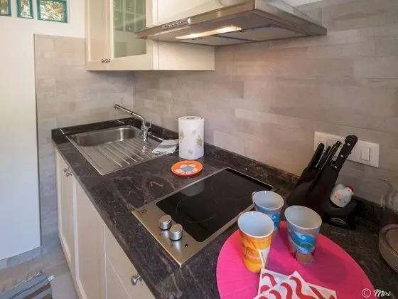 Deluxe Stüdyo, 1 Büyük (Queen) Boy Yatak, Küçük Mutfak (2)