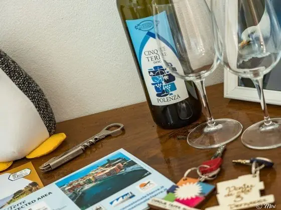 Panoramic Tek Büyük Yataklı Oda, 1 Çift Kişilik Yatak, Deniz Manzaralı