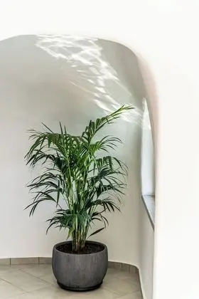 Luxury Villa, 2 Yatak Odası, Deniz Manzaralı