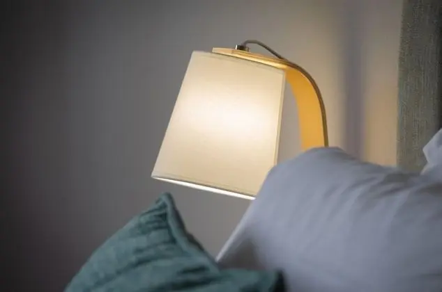 Standard Tek Büyük Yataklı Oda, 1 Büyük (Queen) Boy Yatak, Bahçe Manzaralı