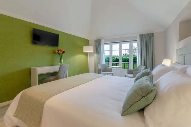 Superior Tek Büyük Yataklı Oda, 1 Büyük (Queen) Boy Yatak, Bahçe Manzaralı