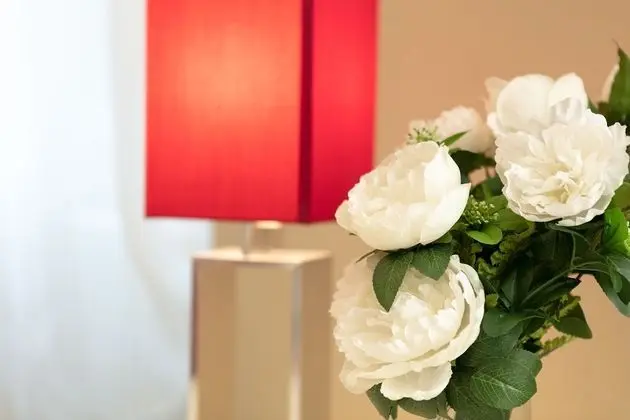 Deluxe Apart Daire, 1 Yatak Odası