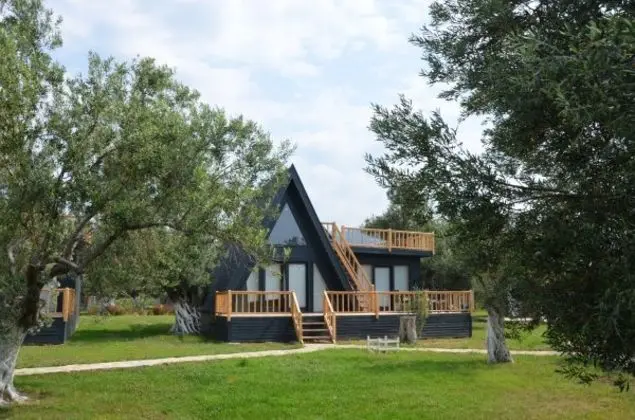 King Bungalow