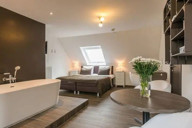 Comfort Tek Büyük Yataklı Oda, Balkon, Park Manzaralı