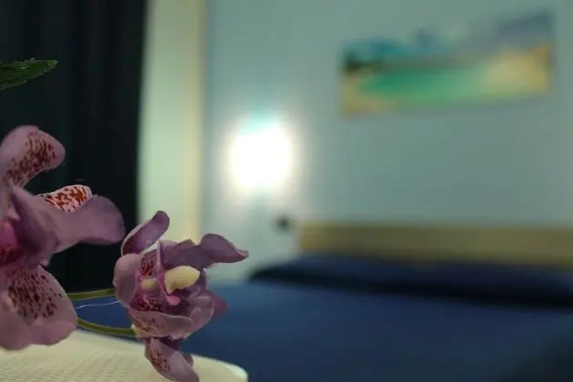 Standard Tek Büyük Yataklı Oda, 1 Çift Kişilik Yatak, Bahçe Manzaralı