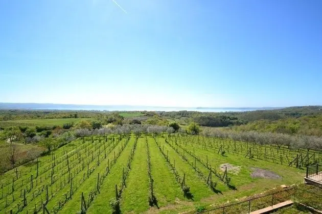 Villa, 4 Yatak Odası