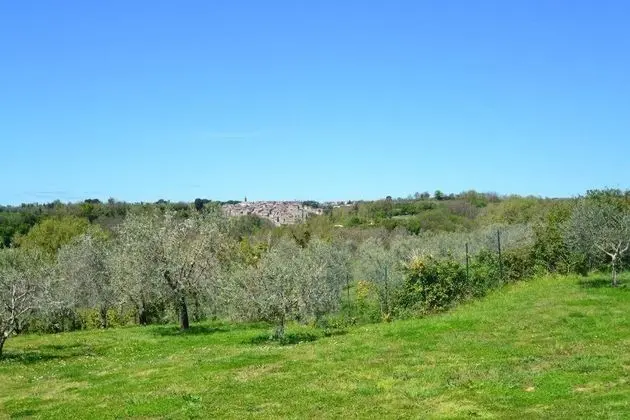 Villa, 4 Yatak Odası