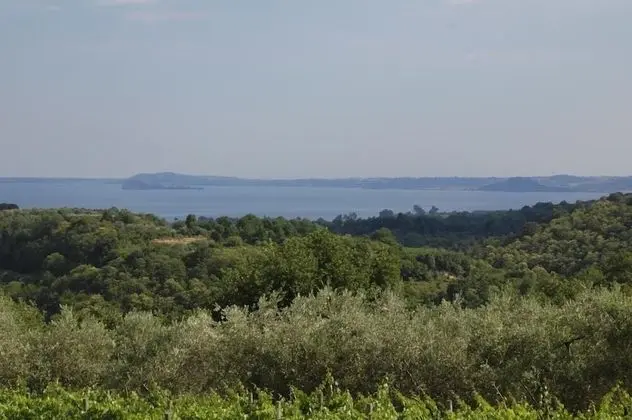 Villa, 4 Yatak Odası