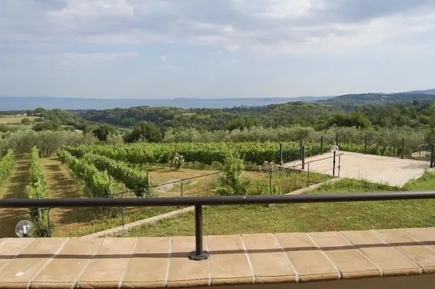 Villa, 4 Yatak Odası