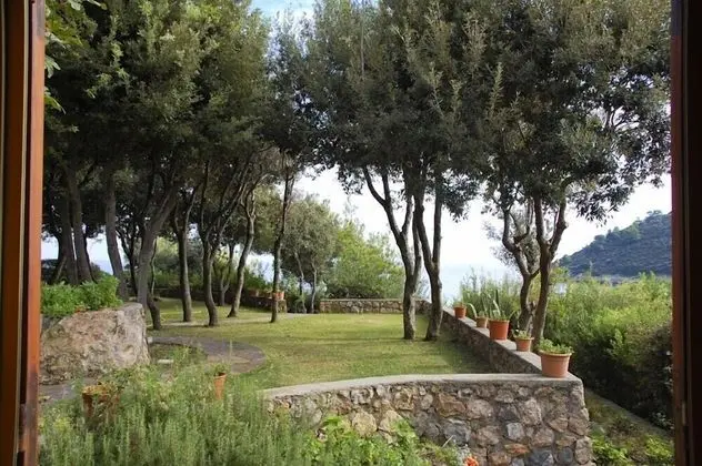 Villa, Birden Çok Yatak Odası