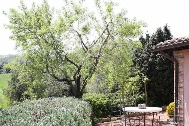 Villa, Birden Çok Yatak Odası, Sigara İçilmez