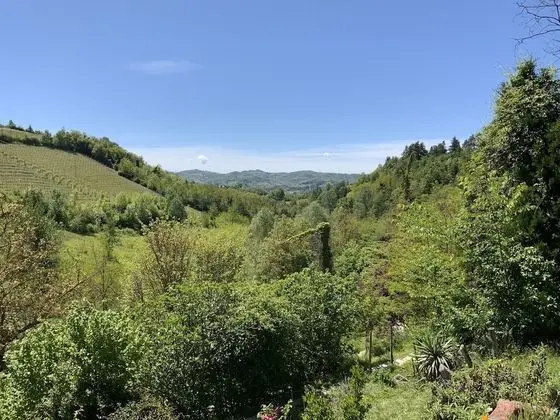 Çatı Katı (Loft), Mutfak, Üzüm Asması Manzaralı