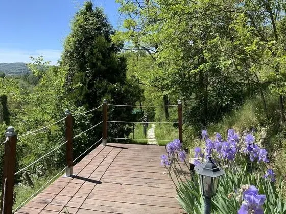 Çatı Katı (Loft), Mutfak, Üzüm Asması Manzaralı