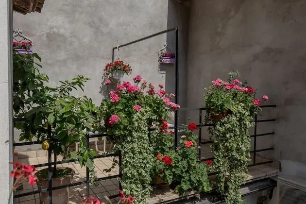 Deluxe Tek Büyük veya İki Ayrı Yataklı Oda, Balkon
