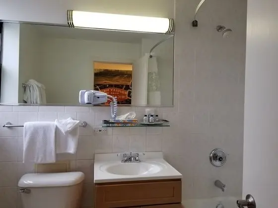 Süit, 1 En Büyük (King) Boy Yatak, Sigara İçilmez, Köşe (1 Bedroom Suite)