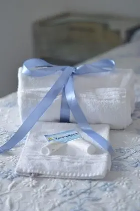 Deluxe Tek Büyük veya İki Ayrı Yataklı Oda, 1 Büyük (Queen) Boy Yatak, Şehir Manzaralı