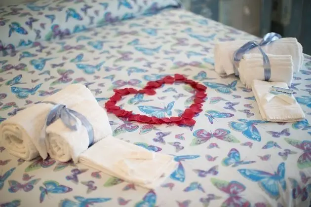 Superior Tek Büyük veya İki Ayrı Yataklı Oda, 1 Büyük (Queen) Boy Yatak, Sigara İçilmez