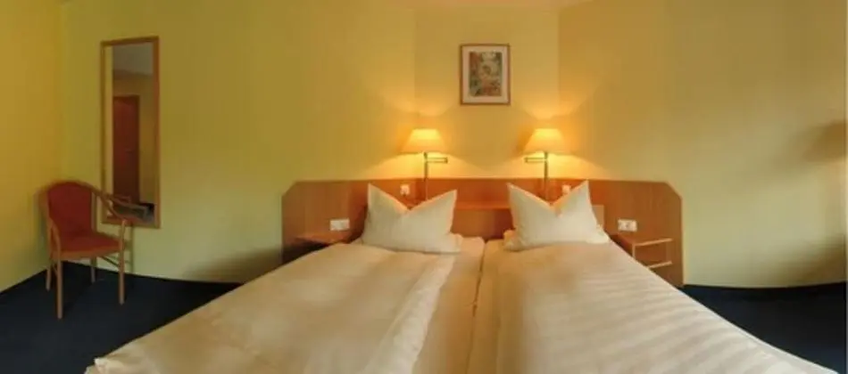 Comfort Tek Büyük Yataklı Oda, Engellilere Uygun, Dağ Manzaralı