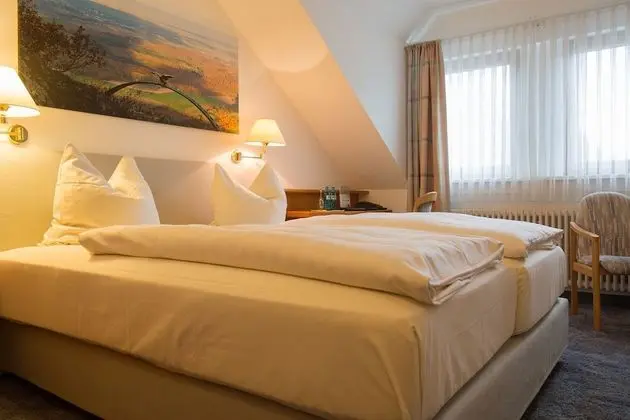 Comfort Tek Büyük Yataklı Oda, Engellilere Uygun, Dağ Manzaralı
