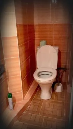 Stüdyo