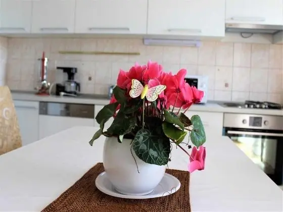 Apart Daire (Three Bedroom Apartment with Balcony)